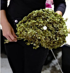 Annabelle Hydrangea Olive Green Dried Preserved Flower Bouquet Wedding Flowers