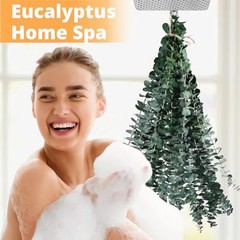 12 Pcs Dried Eucalyptus for Shower Hanging – 17” Real Large Preserved