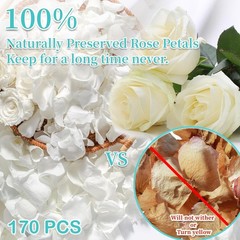Real Dried , Frozen Preserved Petals for, Wedding Party Decorations, Confett…