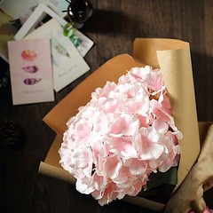 Pink 5 Silk Hydrangea Bushes Wedding Flowers Bouquets Party Centerpieces SALE