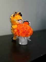 garfield bouquet