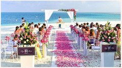 1000 PCS Rose Petals Fake Rose Petals for Romantic Night, Wedding Flower Deco…