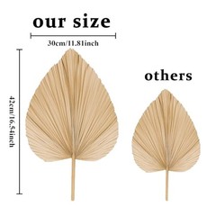 Natural Dried Palm Leaves, 17.3 Inch, 10 Pieces, Beige and Brown, for Wedding