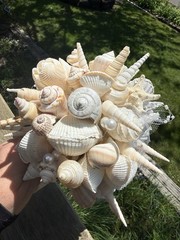 Natural Seashell Wedding Bouquet, Forever Keepsake, Beautiful One Of A Kind