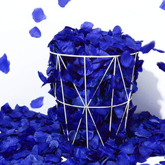 1000 Pcs Artificial Silk Rose Petals Decoration Wedding Party Color Sapphire Blu