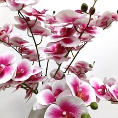 Pack Pink Orchid Artificial Flowers Real Touch, 27” 10 Pink + White Edge