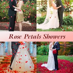3000 Pcs Silk Rose Petals,Red Rose Flower Petals Decorations, Fake Rose Petals R