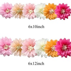12pcs 10in 12in Paper Flowers Tissue 10inch+12inch, Multicolor Kit