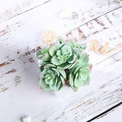 3 Green 5″ Assorted Faux Cute Succulent Echeveria Plants Off White Ceramic Pots