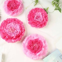 12 pack 7″ 9″ 11″ Fuchsia and Pink Tissue Paper Carnation Flowers Home Backdrop