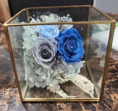 Preserved Roses in Glass Box/Terrarium❤️Wedding /Anniversary/ Birthday Gift