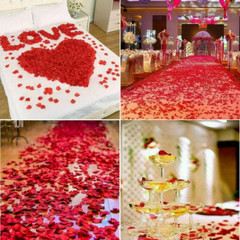 2200 PCS Dark-Red Silk Rose Petals for Romantic Night,Wedding,Proposal Anniversa