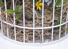 Wedding Decor Birdcages w/ Silk Flowers – Set Of 5