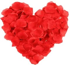 Wedding Table Decor DIY Scrapbooking Shower Red Rose Flower Petals Engagement