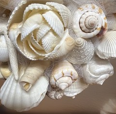 Natural Seashell Wedding Bouquet, Forever Keepsake, Beautiful One Of A Kind
