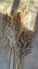Dried Floral Bundle
