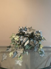 Frosted English Ivy Bush 22”