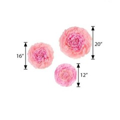 12 pack 12″ 16″ 20″ Pink and Fuchsia Tissue Paper Carnation Flowers Backdrop