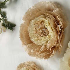 6 pack 12″ 16″ 20″ Natural and Taupe Tissue Paper Carnation Flowers Backdrop