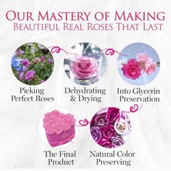 GLAMOUR BOUTIQUE 16 Flower Forever Heart Shape 16 Roses, Velvet Pink 16 Roses