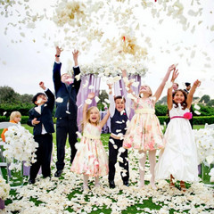 2200 PCS Silk Flower Rose Petals for Wedding Decorations (Ivory)
