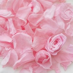 Natural Pink Rose Petals 3.52oz – Dried Flower Confetti for Weddings, Parties, D