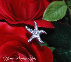 6 Crystal Rhinestone Starfish Bouquet Jewelry Silver BJ001