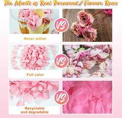180 PCS Real Pink Dried Rose Petals Confetti for Wedding, 1.75Oz Freeze Rose Pet