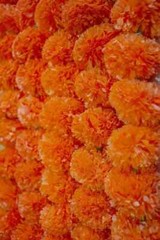 Artificial Orange Hanging Flowers Marigold Fluffy Garland Decoration (Pack Of 6)