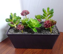 Artificial Mini Plants Succulents Yacon Red Stone Lotus Grass set of 13