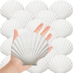 Natural Scallop Shells for Crafts, 4-5 inch Natural White Scallop 10PCS 4″-5″