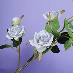 2 SILVER 38″ SINGLE STEM SILK ROSES Bouquets Wedding Centerpieces Decorations