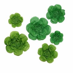 6 pack 7″ 9″ 11″ Mint and Apple Green Tissue Paper Peony Flowers Home Backdrop