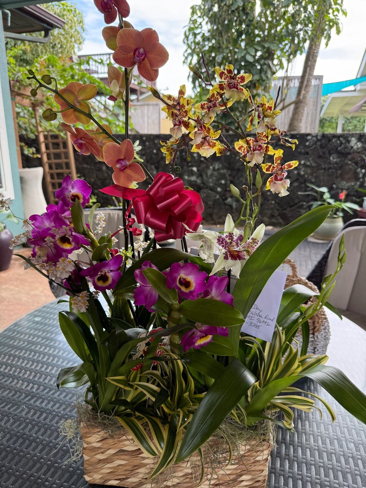The “Mayor’s Basket” 5 Orchid Gift Basket