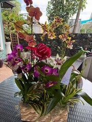 The “Mayor’s Basket” 5 Orchid Gift Basket