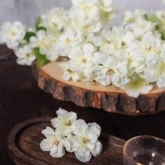 4 IVORY 40″ tall Bushes with Silk Cherry Blossoms Flowers Party Wedding Bouquets