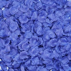 2200 PCS Dark-Red Silk Rose Petals Romantic Night,Wedding,Proposal Anniversary