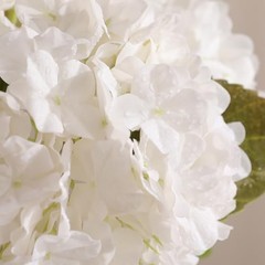4pcs Fake Hydrangea with Vase -3D Real Touch Faux Hydrangea Flowers and White