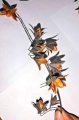 Dry flowers for make beautiful decorations wall decorations 20 flowers in set
