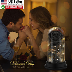 Preserved Black Rose Gift Light Up Eternal Flower In Dome For Mom Wife FROM USA