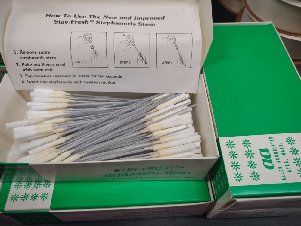 Stemson’s Stay-Fresh Stephanotis Stems White, 200 Pieces Absorbent Corsage Wires