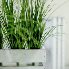 3 Green 20″ Artificial Faux Grass Sprays Stems Wedding Party Home Centerpieces