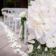 2200 PCS Fake Rose Petals for Wedding, Engagement, Proposal, Artificial Flower