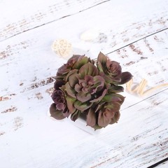 Set of 3 5″ tall Assorted Artificial Faux Succulent Plants with Off White Pots
