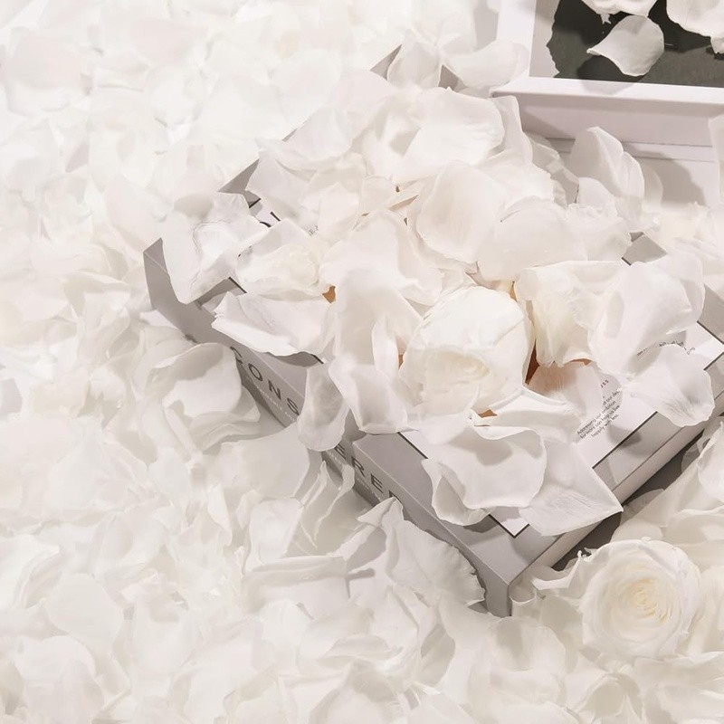 Natural Rose Petals Wedding Decorations Romantic Nights DIY Crafts Engagement US