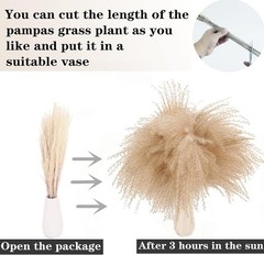 Dried Pampas Grass Decor, 100 Stems Pampas Grass Contains Bunny Tails Dried Flow