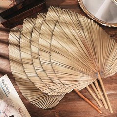 Natural Dried Palm Leaves, 17.3 Inch, 10 Pieces, Beige and Brown, for Wedding