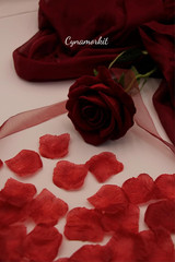 1000 PCS Burgundy Fake Rose Petals for Valentine‘S Day,Romantic Night, Artificia