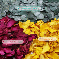 2 QT Mix Biodegradable Flower Petals Confetti, 20+ Cups of Dried Roses & Eucalyp