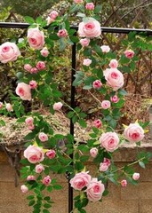 2 PCS 12FT Bendable Flower Garland, Artificial Rose Vine Hanging 2pcs Pink